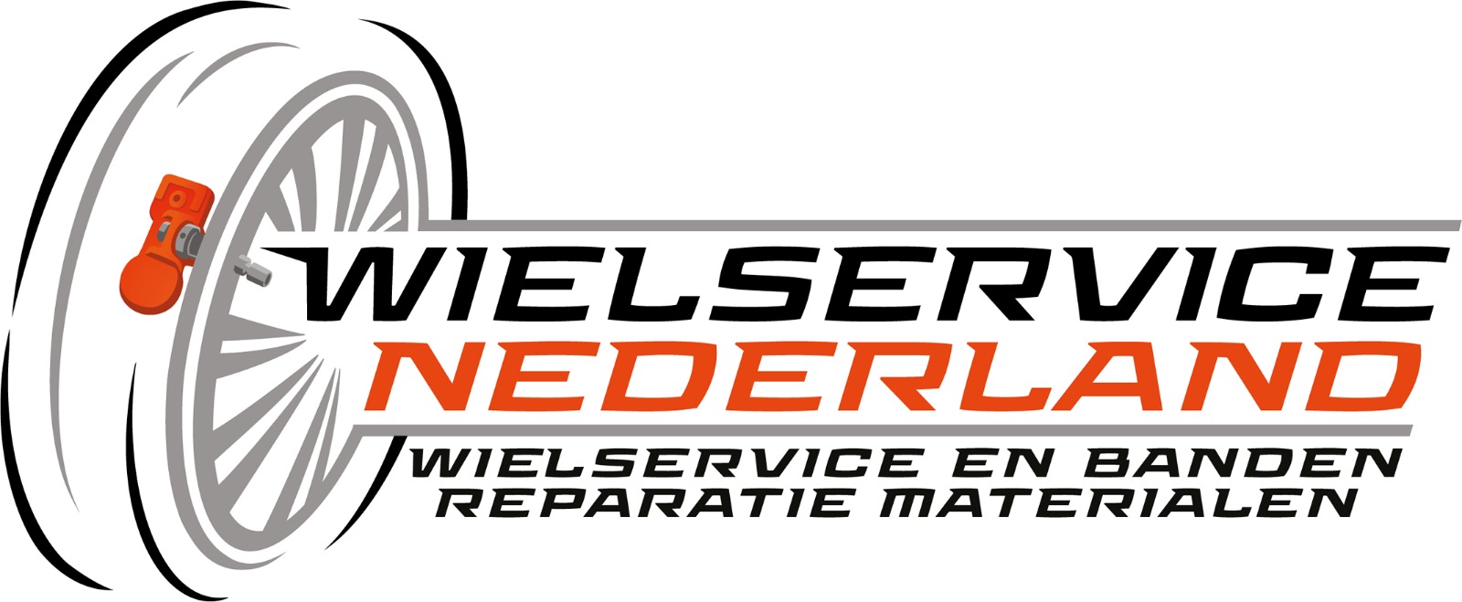 Logo wielservicenederland.nl